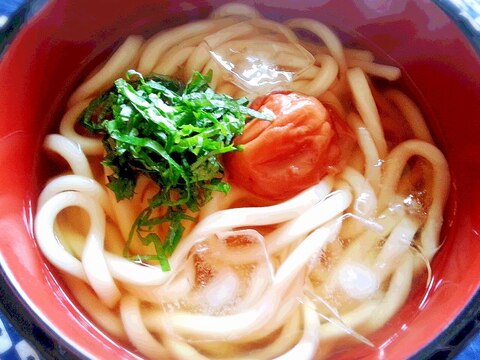 夏にサッパリ♪ 冷やしうどん☆